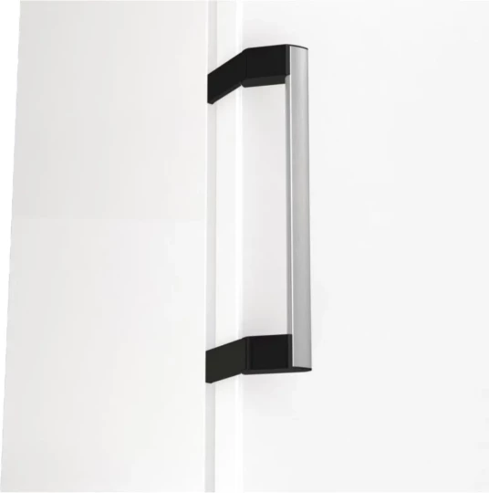 Морозилка GORENJE FN619EAW6