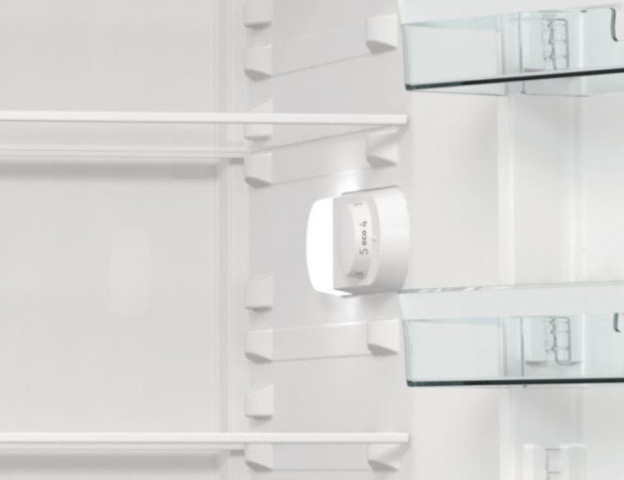 Холодильник GORENJE R619EES5